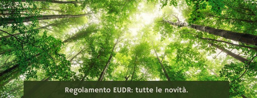 Regolamento EUDR: tutte le novità.